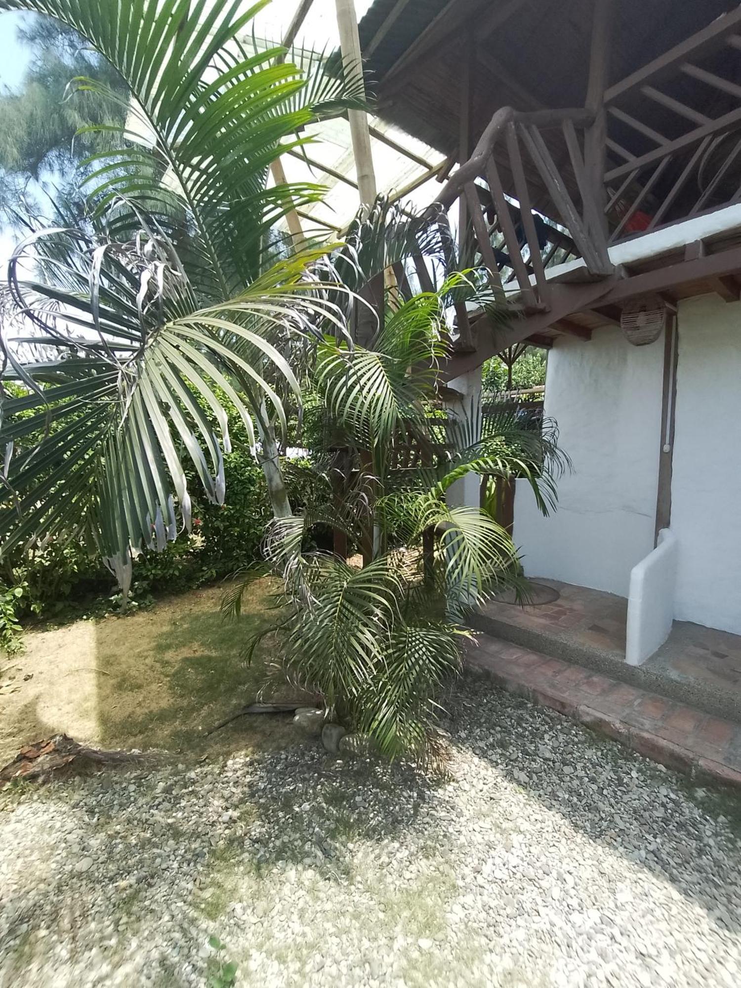 Hotel Palma Coco Ayampe Exterior foto